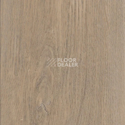 Кварцвиниловые полы AW Invictus Maximus Plank New England Oak Sand фото 1 | FLOORDEALER